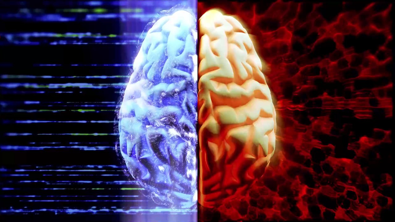 Aktives Liebesleben verändert die Struktur eures Gehirns