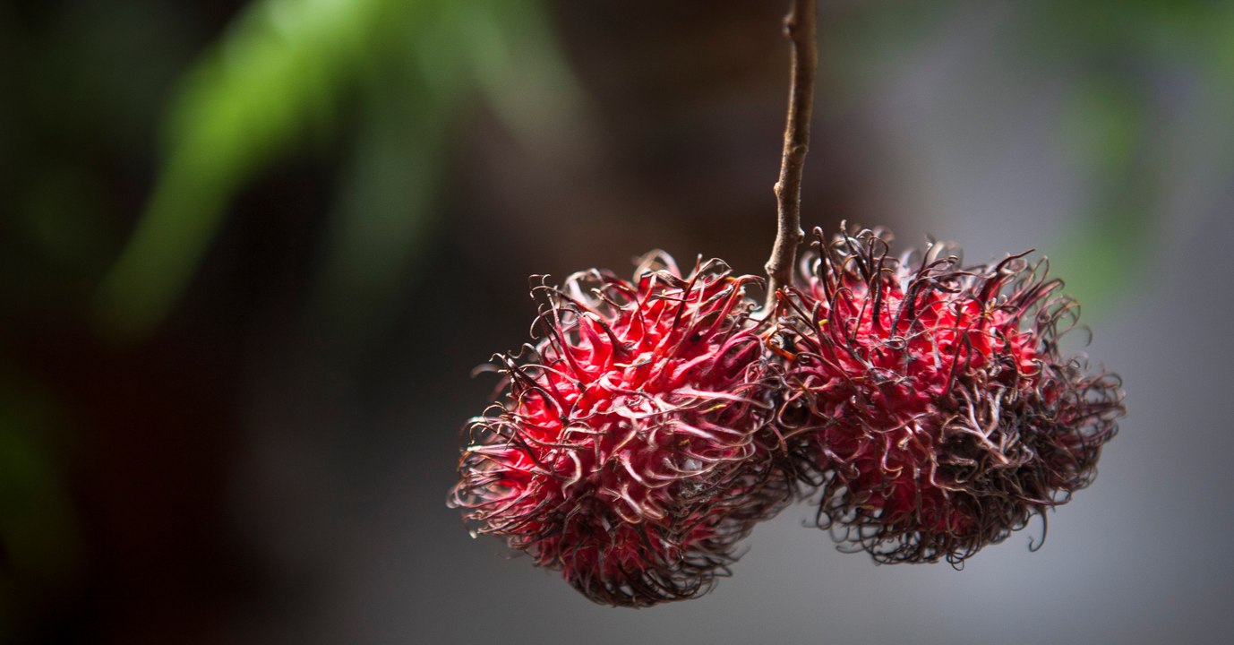 Mann hat Schmerzen im Hoden: Dabei kommt eine ganz andere Krankheit ans Licht