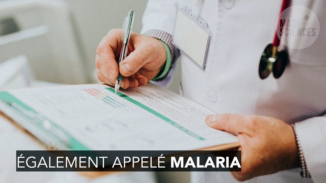 Paludisme ou malaria : quels symptômes et quels traitements ?