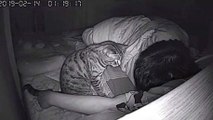 He caught his cat doing something really strange at night thanks to his security camera