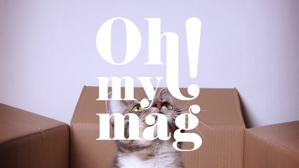 This Is Why Cats Love To Put Themselves In Boxes