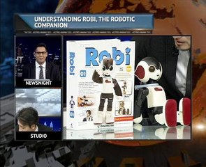 Understanding Robi, the robotic companion