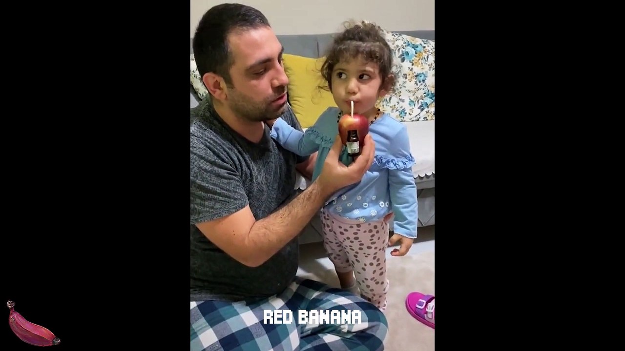 Totally Random Funny Videos 21 - Watch People Die Inside