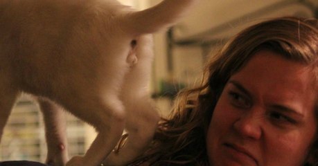 Mit dieser Geste sagt dir deine Katze 'Hallo'