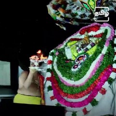 The Arulmigu Nellaiappar Temple Of Tirunelveli, Tamil Nadu