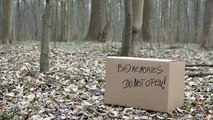 Sie findet einen Karton im Wald: Aber dabei handelt es sich nicht um ein ausgesetztes Tier