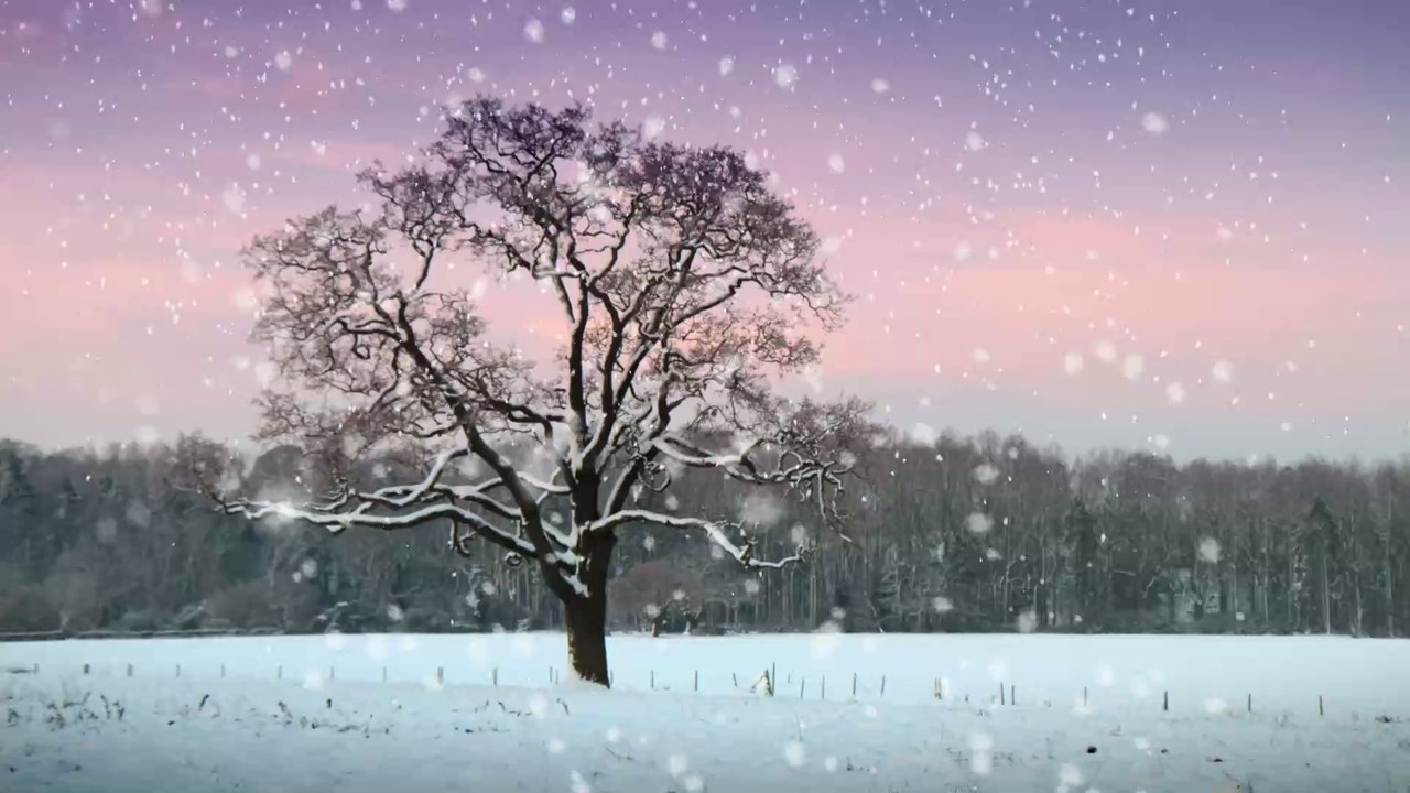 Schlaflosigkeit, kein Appetit und gedrückte Stimmung: Alles zum Thema Sommerdepression