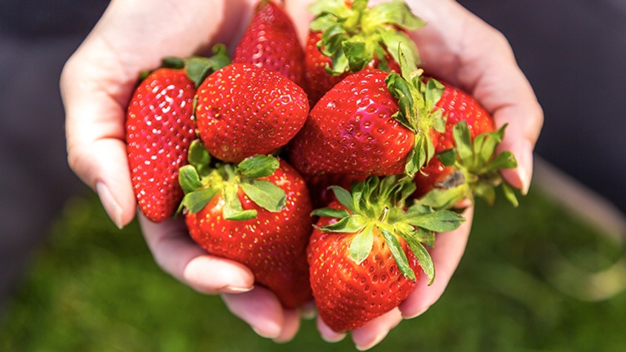 Erdbeeren aus bestimmtem EU-Land können der Gesundheit schaden