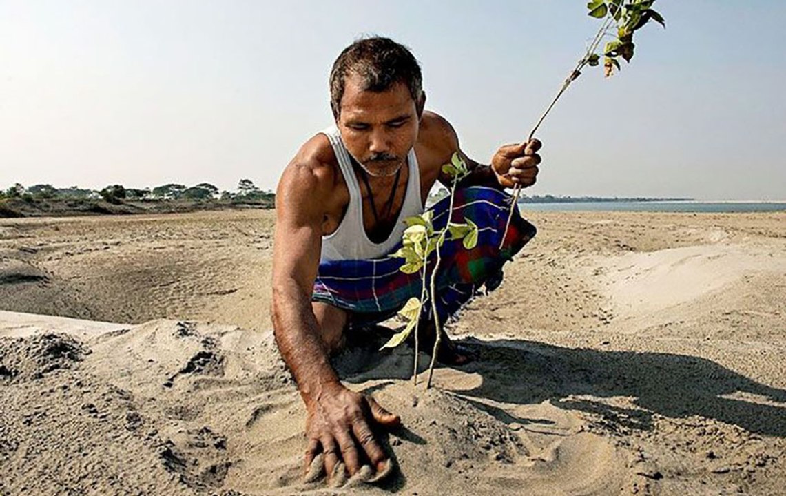 Aus Wüste wird Wald: Mann pflanzt seit über 40 Jahren jeden Tag einen Baum