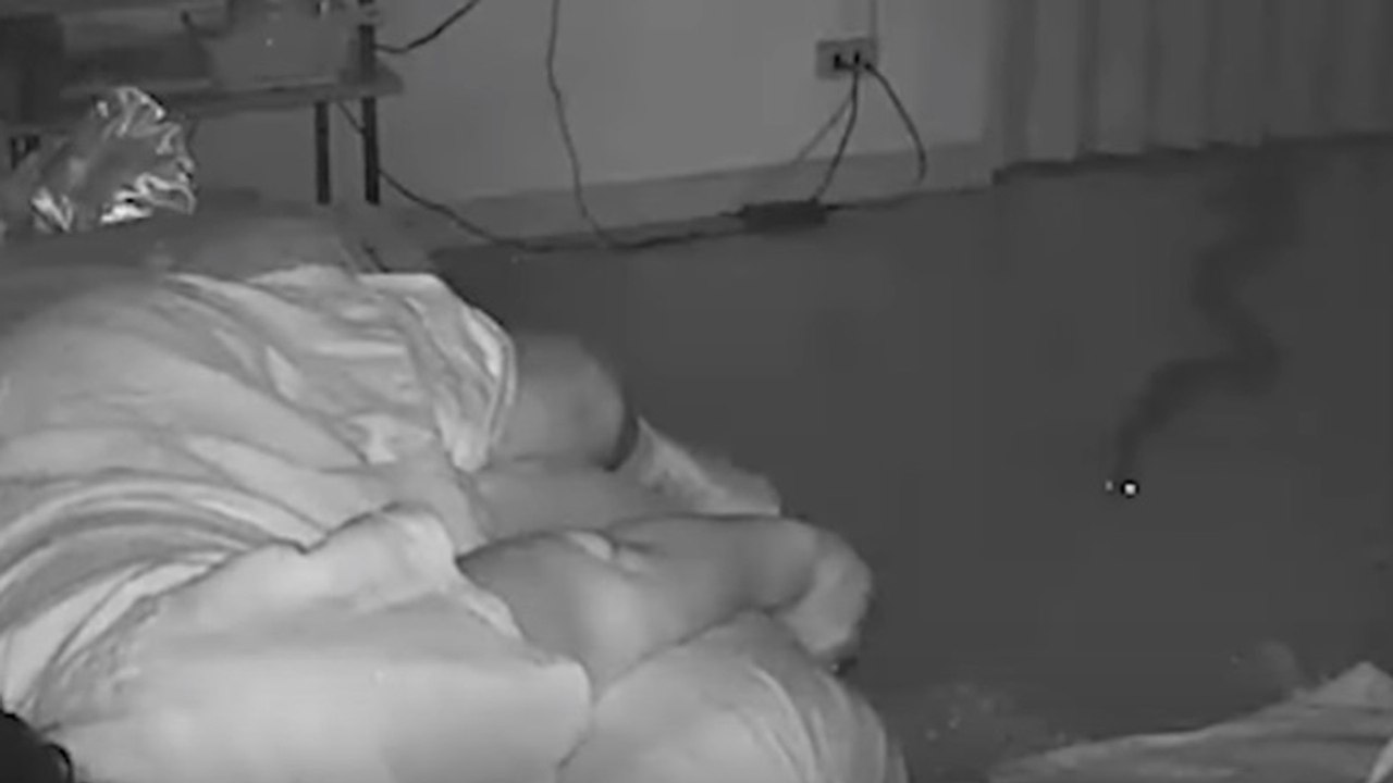 Eine alte Frau schläft friedlich, bis sie bemerkt, dass jemand sie fressen will