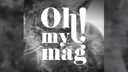 Nobody Wanted To Touch Him But When She Approached Him, The Cat’s Reaction Deeply Moved Her