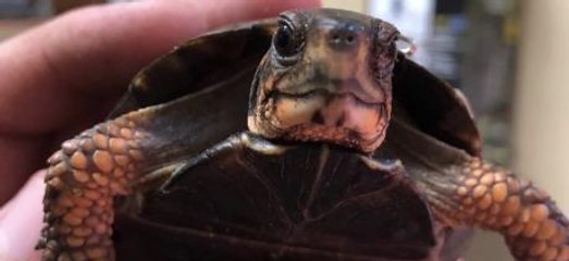 Beyoncé Looks Amazing In This Very Colorful Suit