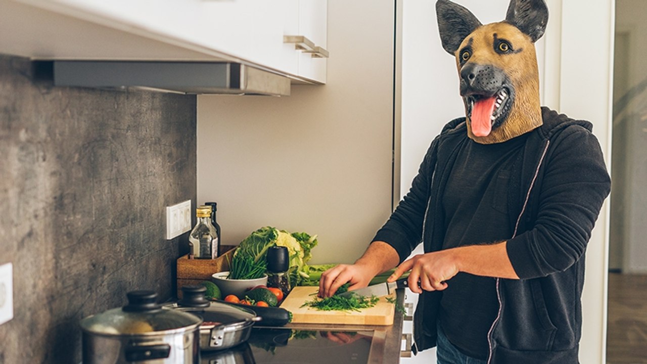 Mann mit Fetisch: 'Ich wusste schon als Kind, dass ich eigentlich ein Hund bin'
