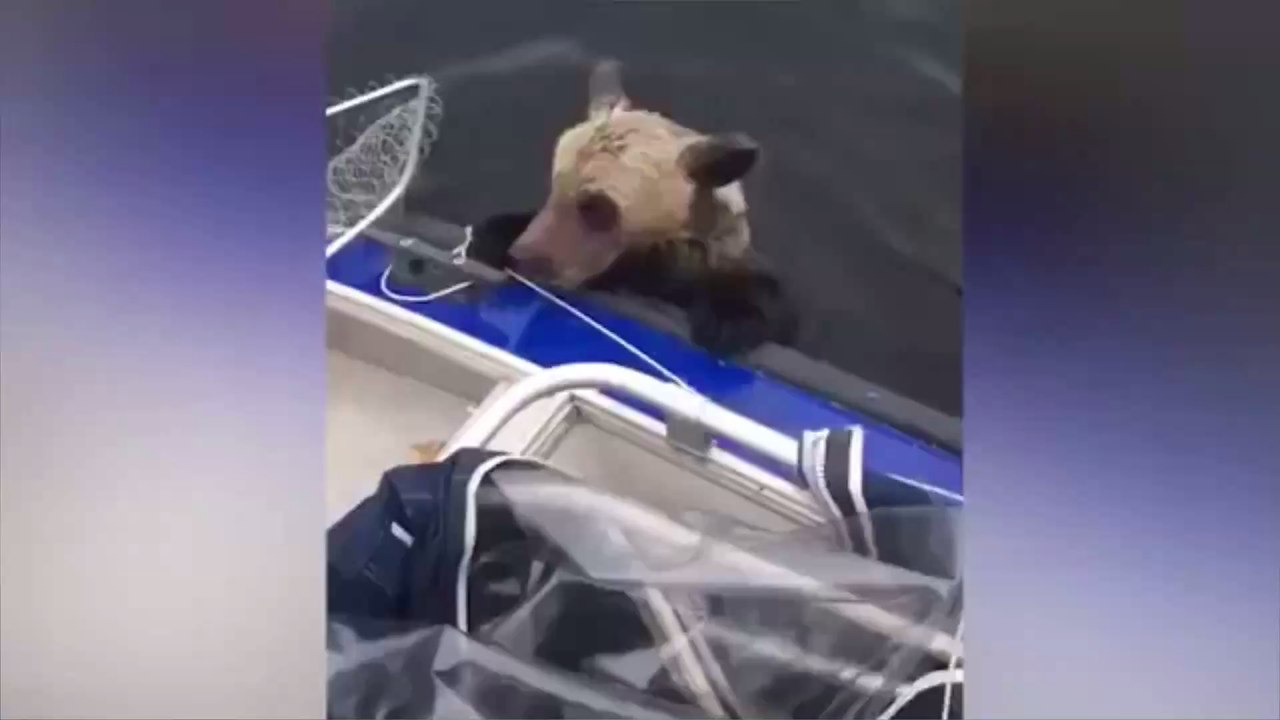 Russische Angler können nicht fassen, was sie aus dem See ziehen