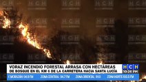 Voráz incendio consume varias hectareas de bosque en Santa Lucía
