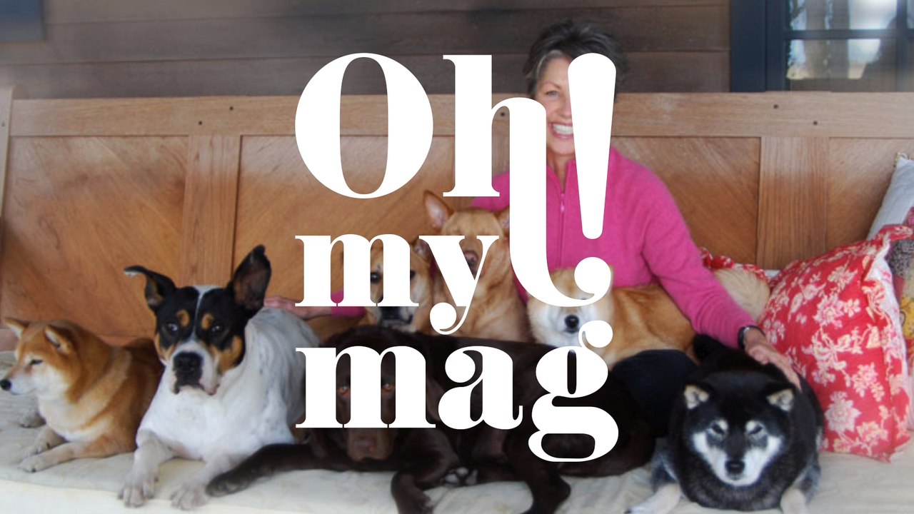 Als der Hunger zu viel wurde: Hund Luke trifft grausame Entscheidung