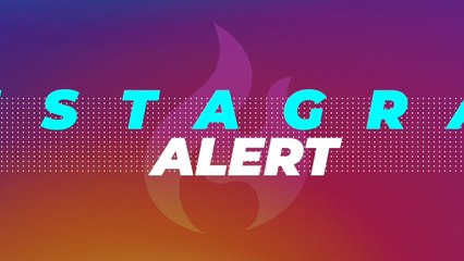 These Hybrids Of Very Different Animals Are Real Works Of Art