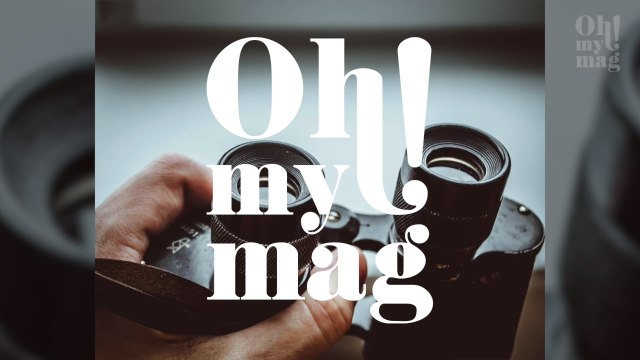 Optical illusion: How many legs do you see in this photo?