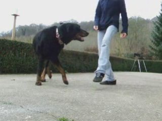 Oslo et chyara en obr