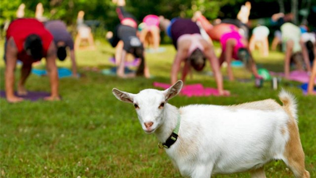 Sporttrends: Ungewöhnliche Sportarten, die die Welt erobern