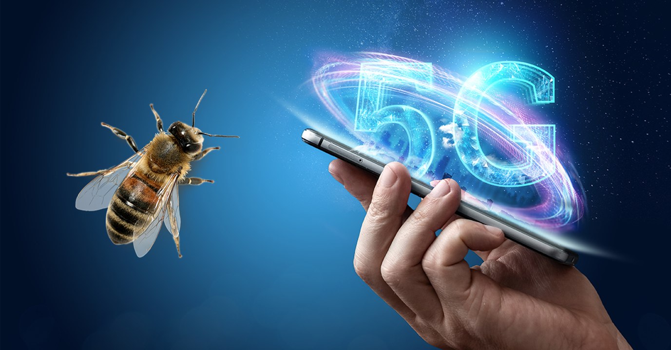 5G-Netz: So schaden die Wellen unserer Umwelt und uns