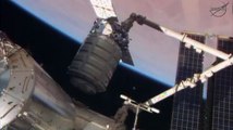 La capsule Cygnus livre avec succès des fourmis à l'ISS !