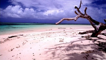 Des squelettes de soldats japonais exhumés par la montée des eaux dans les îles Marshall