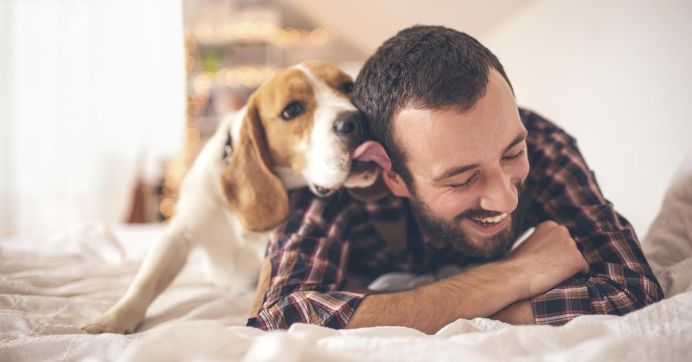 Enge Verbindung: Neben ihm schlafen Frauen besser als neben ihrem Partner