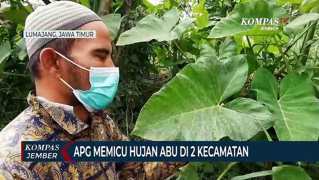 Awan Panas Guguran Semeru Picu Hujan Abu di 2 Kecamatan