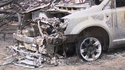 EVE Online : un joueur offre 40 000 dollars d'enchères caritatives pour les victimes des incendies en Australie