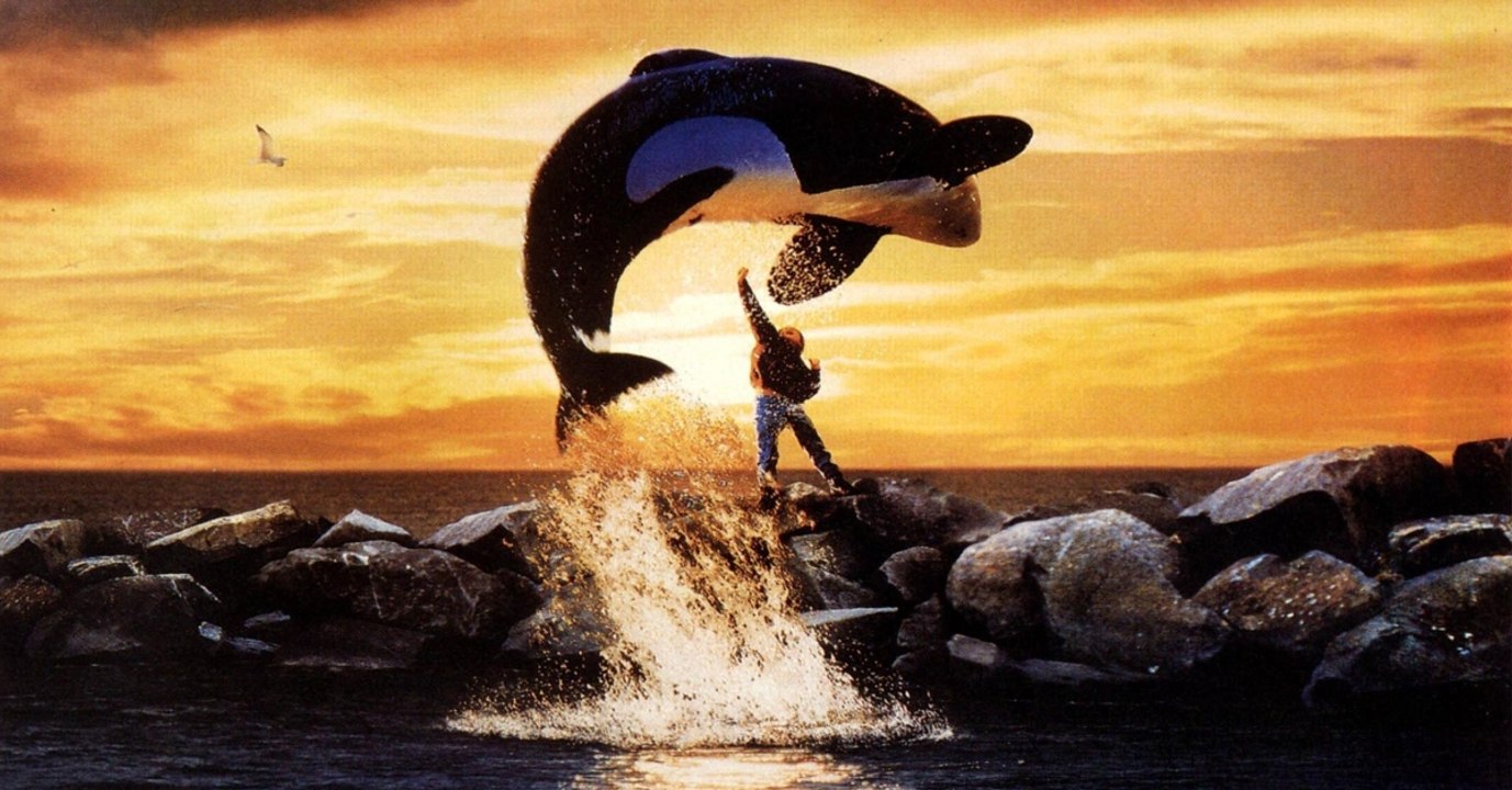 Flipper, Lassie und Co: So ergeht es unseren Kindheitshelden nach den Dreharbeiten