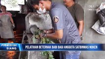 Satgas Binmas Noken Ops Damai Cartenz Laksanakan Pelatihan Ternak Babi pada Anggota