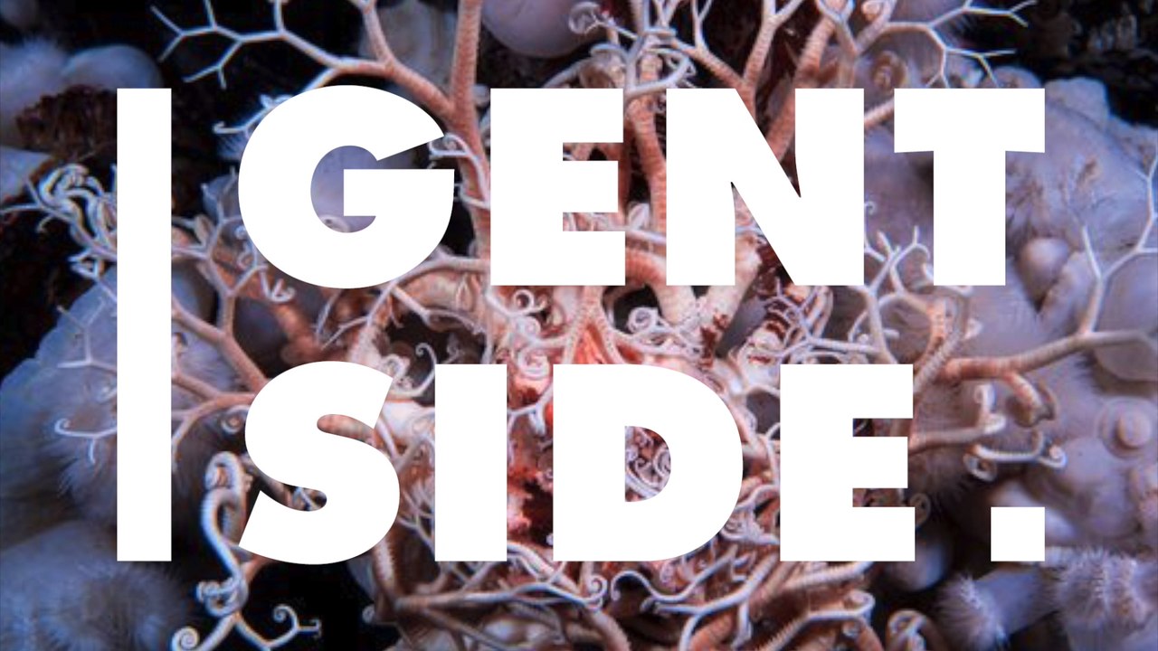 Seltener Fang: Junge Anglerin hat ungewöhnliche Kreatur am Haken