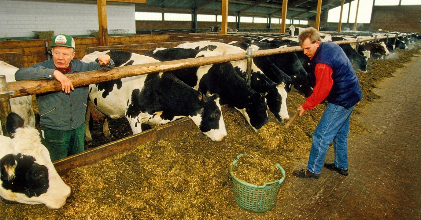 Bauernhof statt Altersheim: Hier kommen Senioren in den Kuhstall!