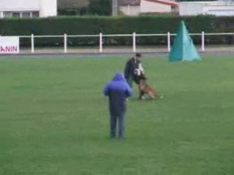 face de rci athos des loups mutin