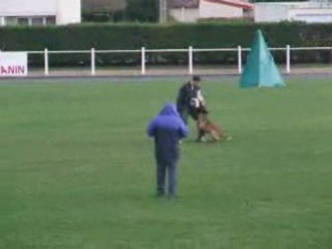 face de rci athos des loups mutin