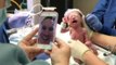 Soldat im Einsatz erlebt via FaceTime die Geburt seines Kindes live mit