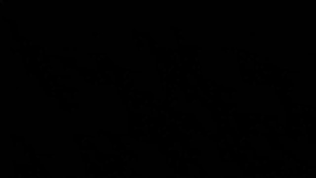 Call of Duty : Activision annonce le report des nouvelles saisons de Warzone et Mobile en soutien aux manifestations des États-Unis