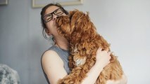 Nach dem Urlaub umarmt Frau ihren Hund mit schrecklichen Folgen