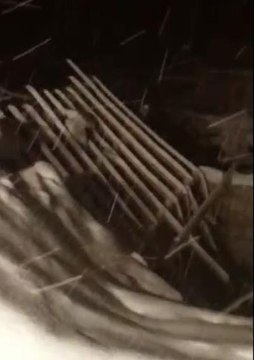 Burdur'da karın ağırlığına dayanamayan ahırın çatısı çöktü