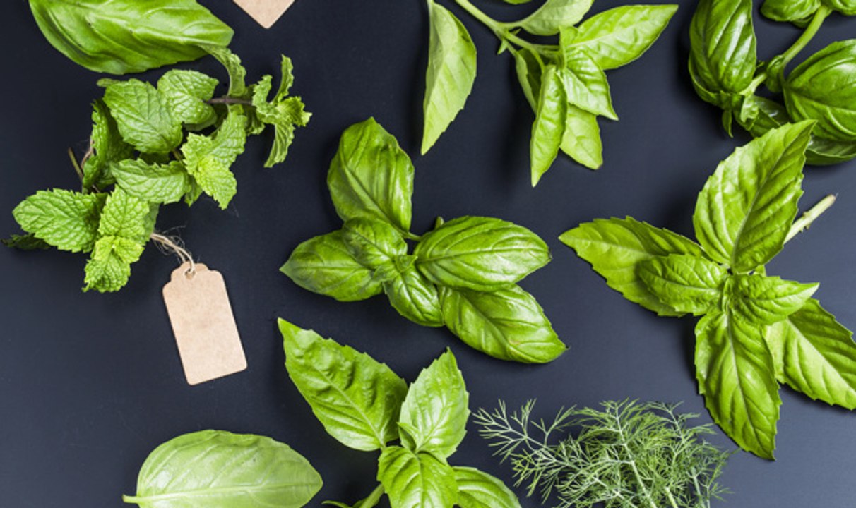 Auf kleinstem raum: so zieht ihr eure küchenkräuter ganz einfach selber