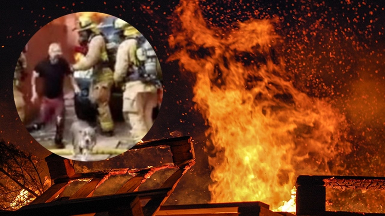 Hund in brennendem Haus: Sein Besitzer versucht, ihn zu retten