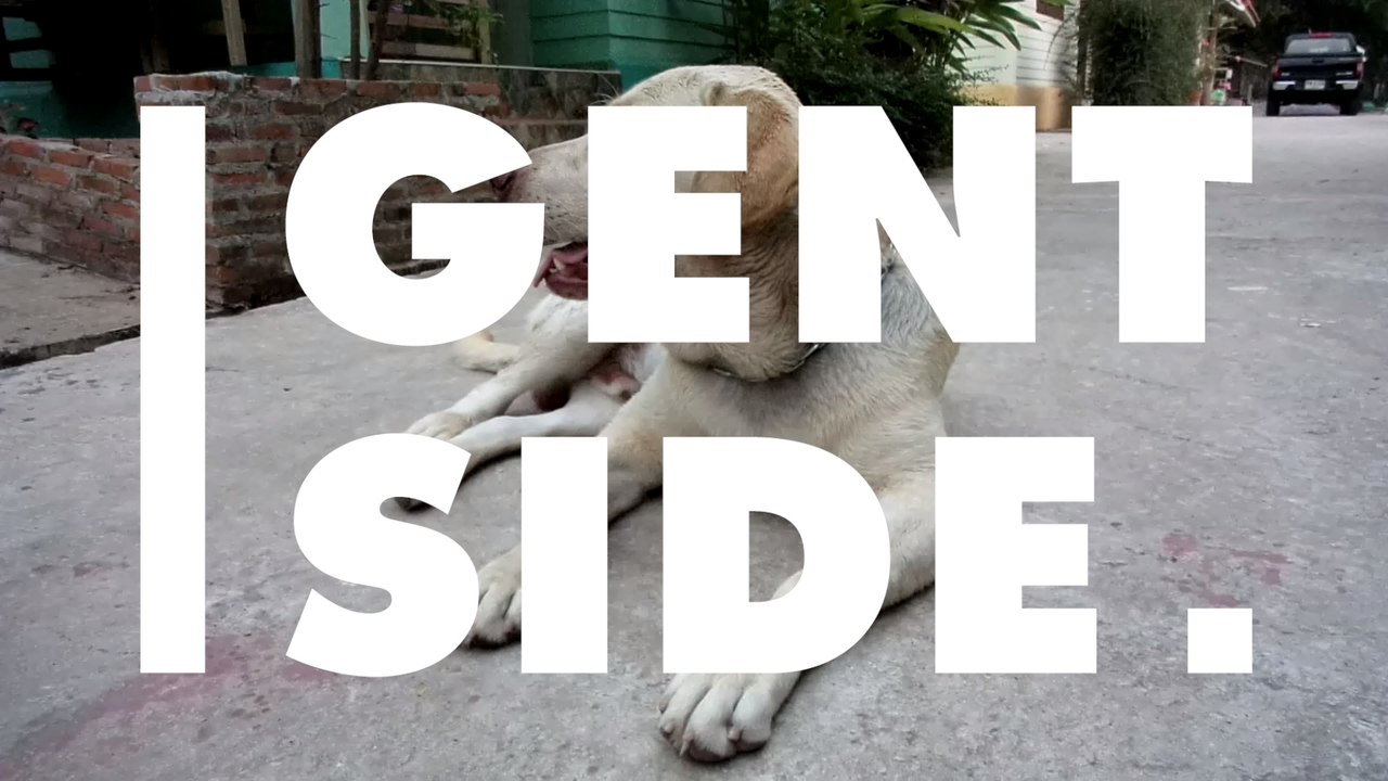 Verstorbenes Haustier: Auf diese vier Arten kannst du dein Tier bestatten