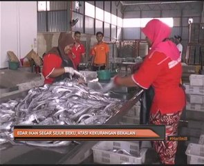 Edar ikan segar sejuk beku, atasi kekurangan bekalan