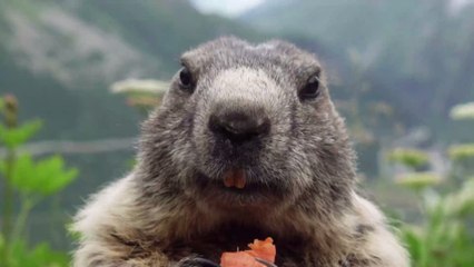 Eating too fast can have some serious consequences on your body