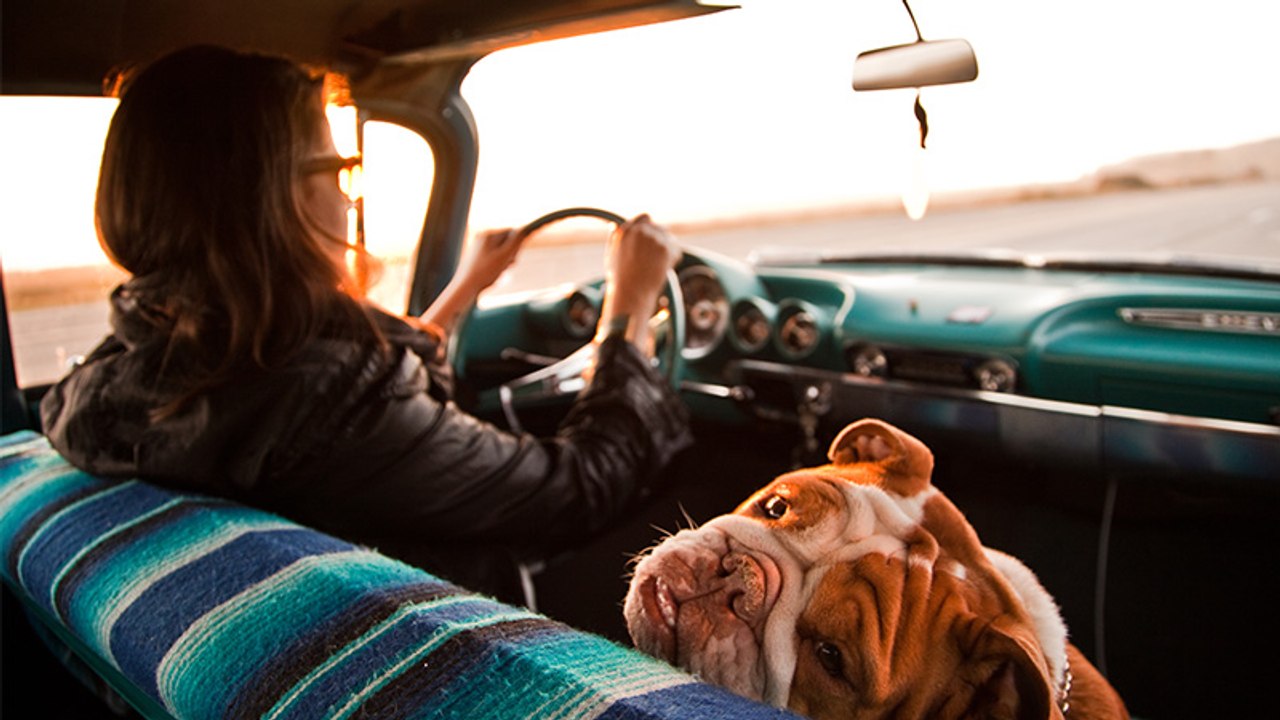 Das ist der perfekte Reisebegleiter für den nächsten Sommerurlaub