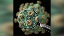 Coronavirus: What Are The Symptoms?