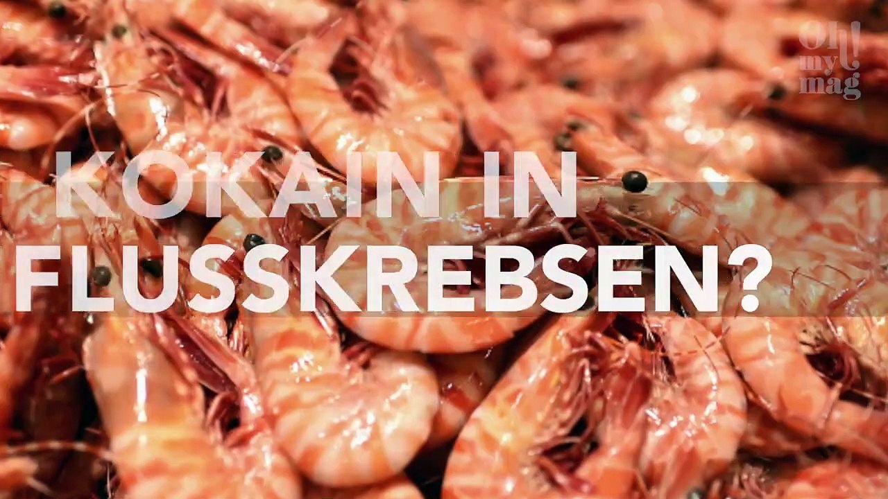 Wissenschaftler finden gefährlichen Stoff in Flusskrebsen