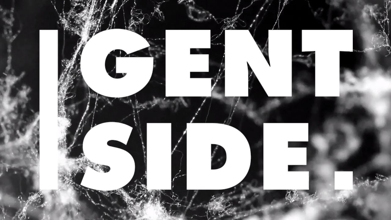 Darum ist Spinnenseide fünfmal solider als Stahl