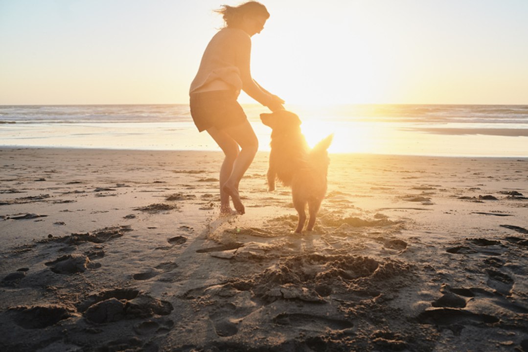 Menschen mit diesem Haustier leben gesünder